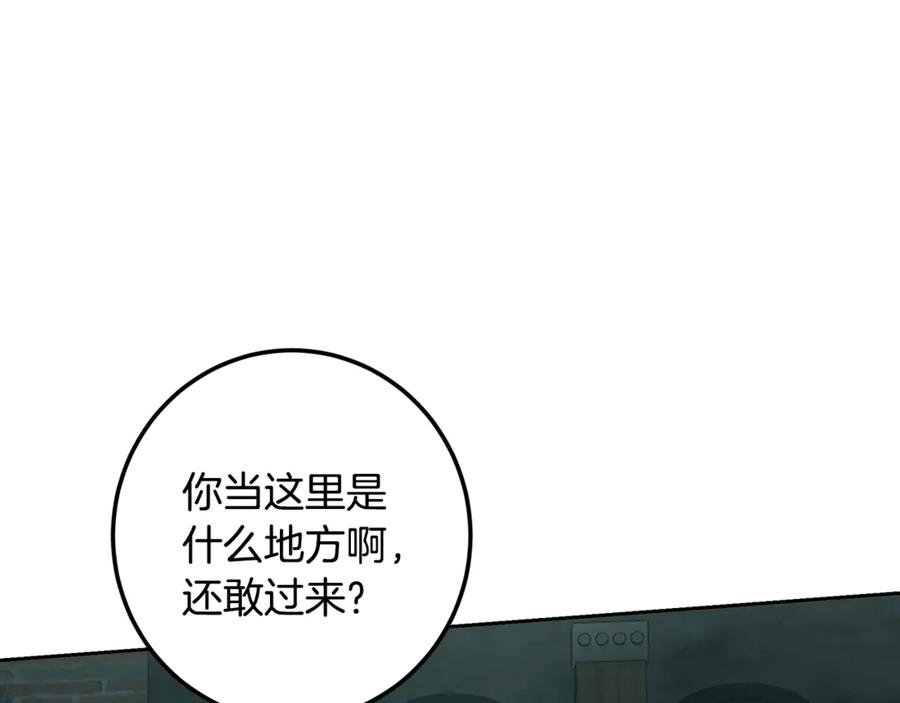 第231页