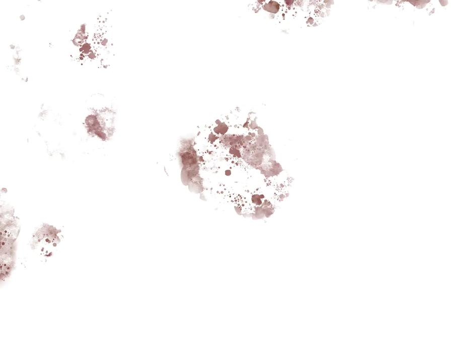 第260页