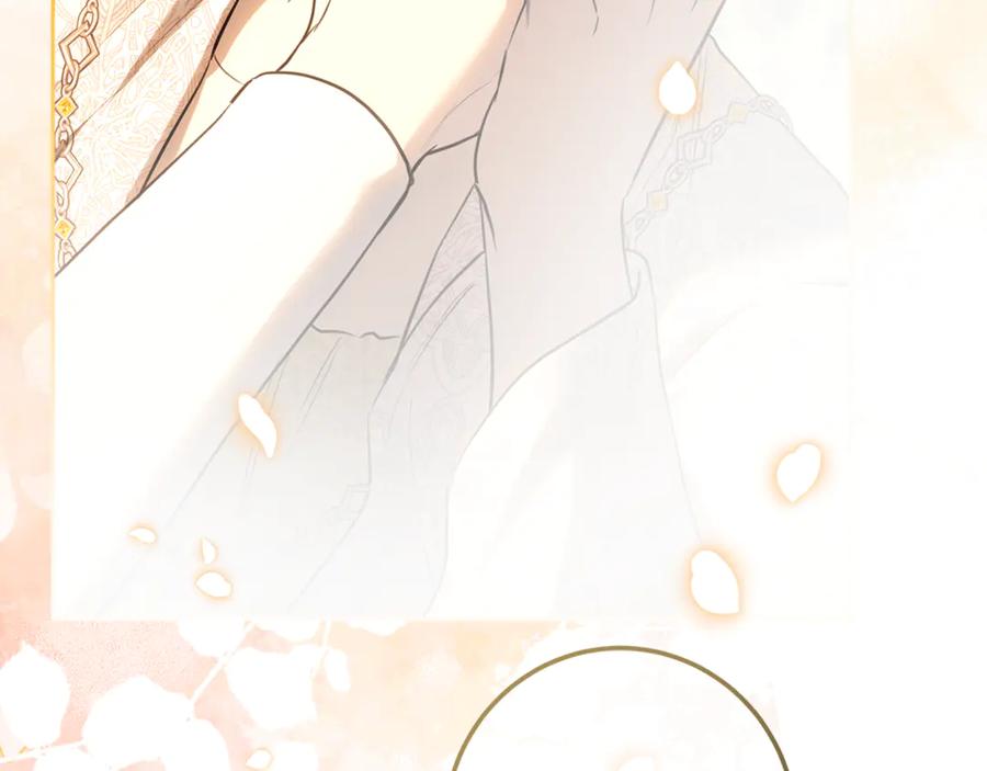 第238页