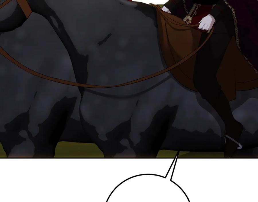 第251页