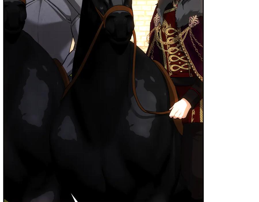 第256页