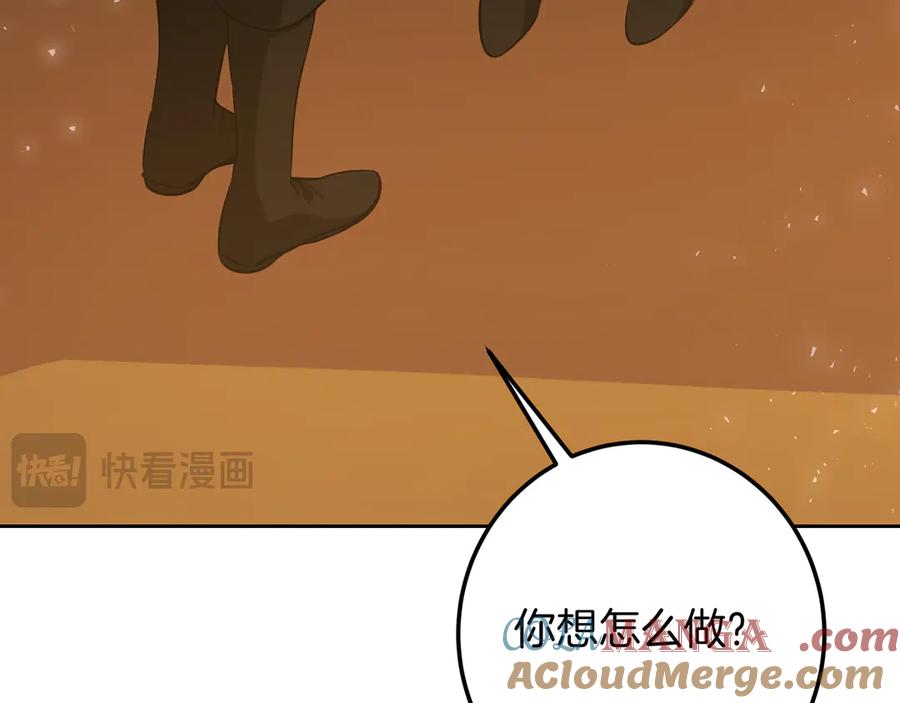 第241页