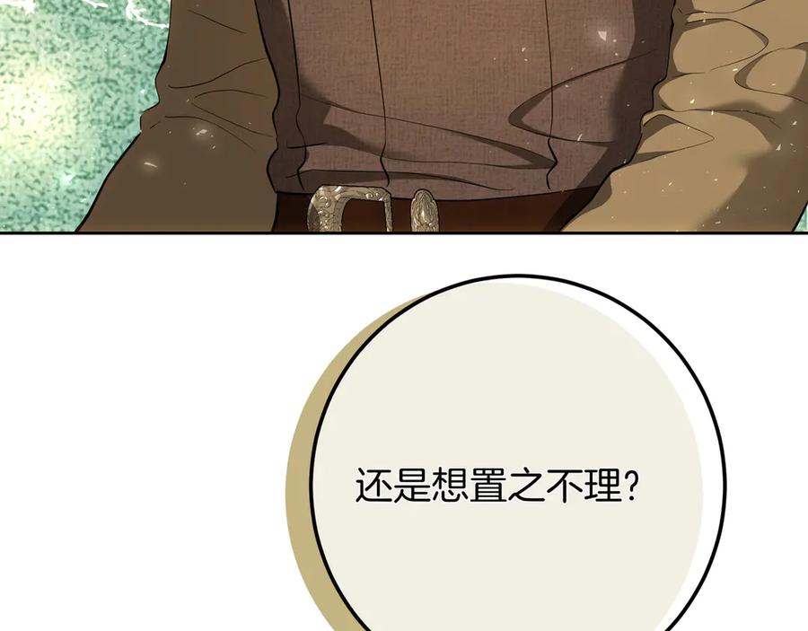 第246页