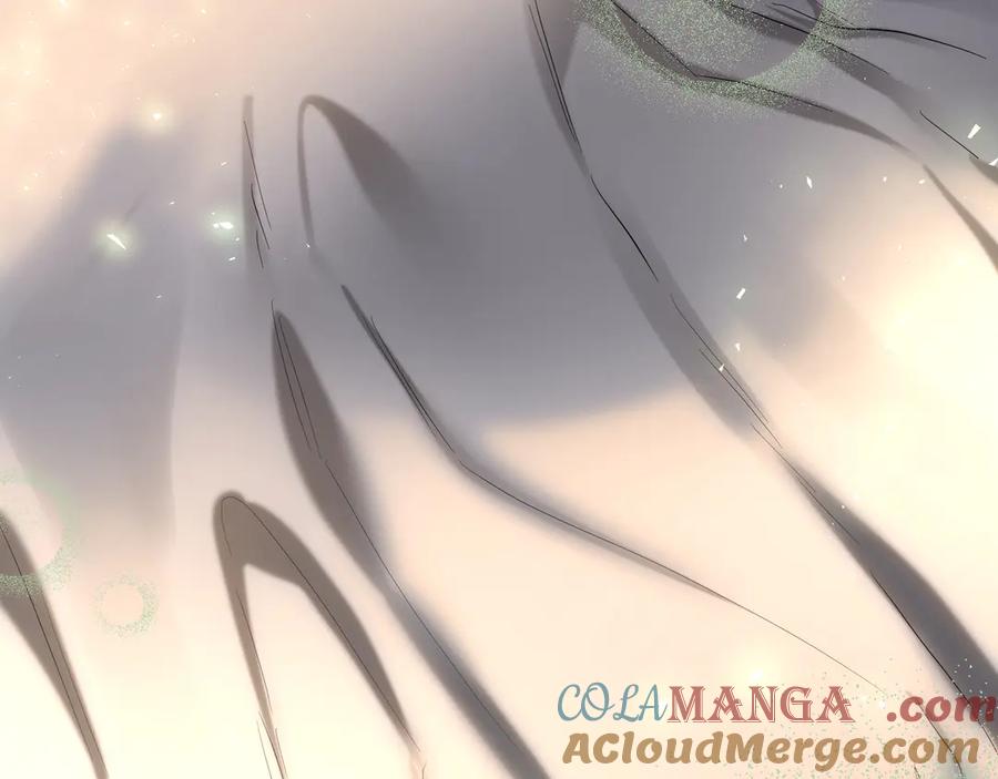 第233页