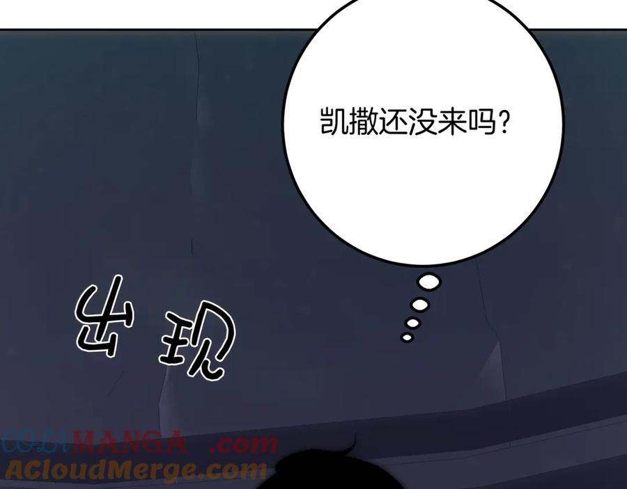 第241页