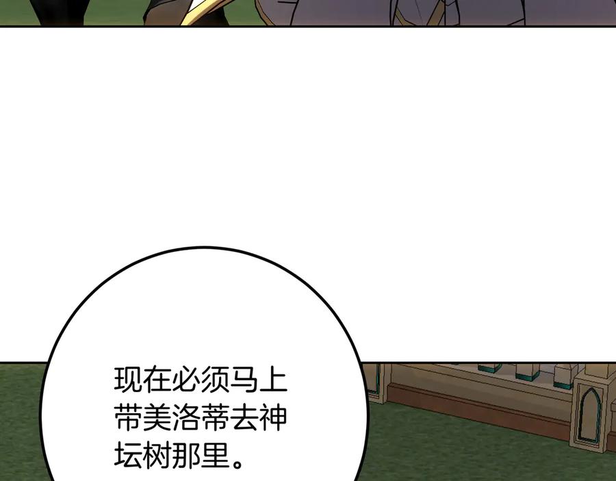 第247页