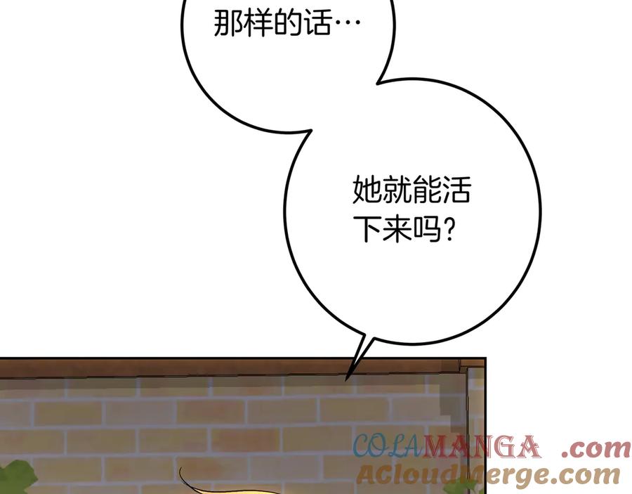 第253页