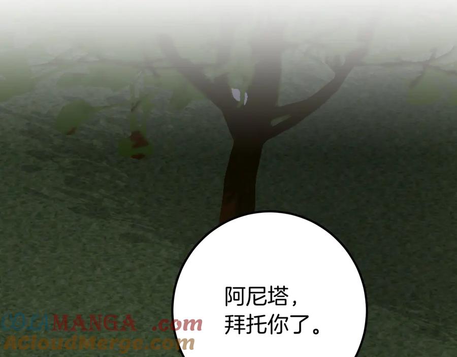 第273页