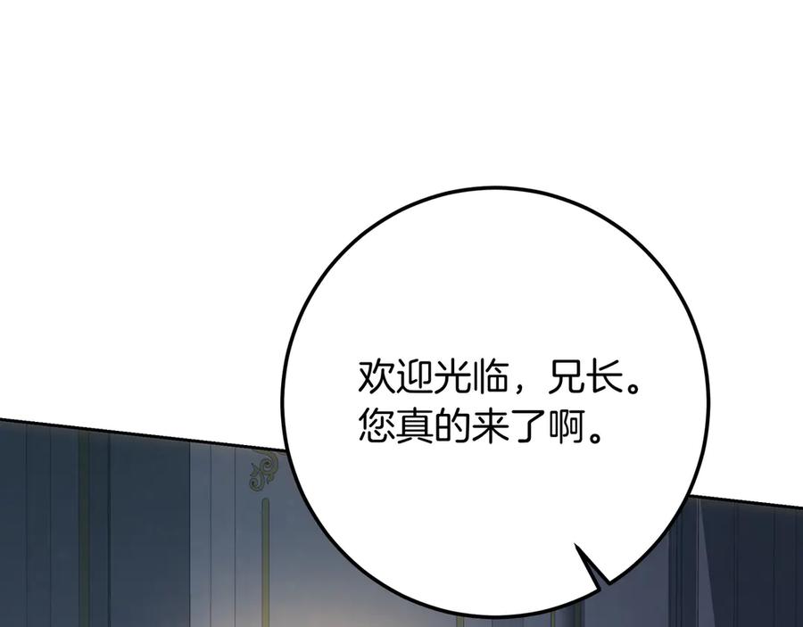 第242页