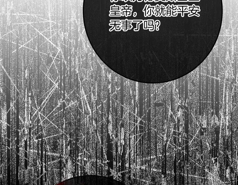 第335页