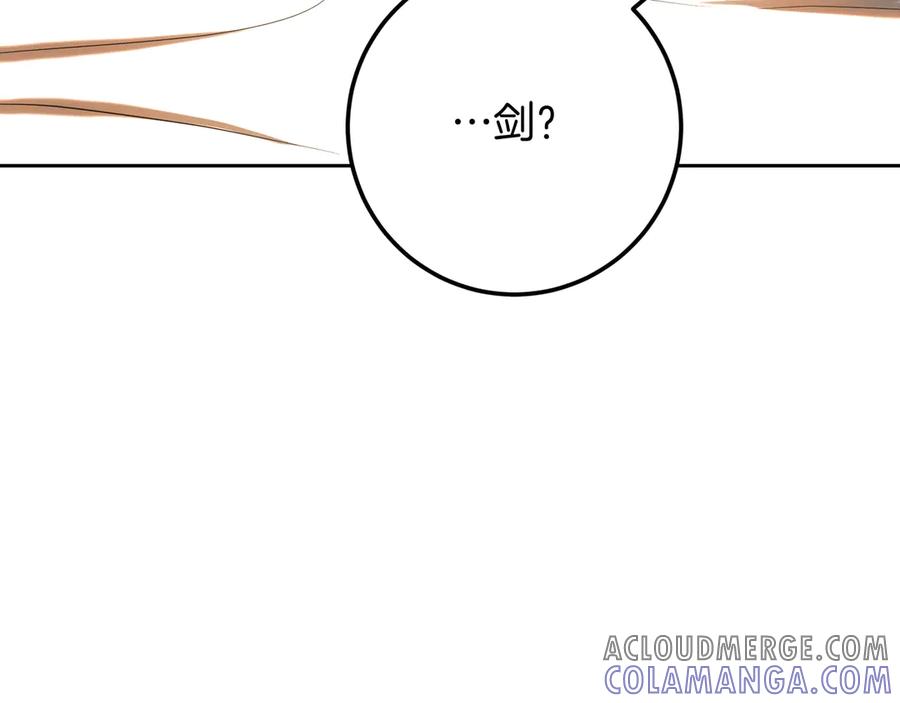 第229页