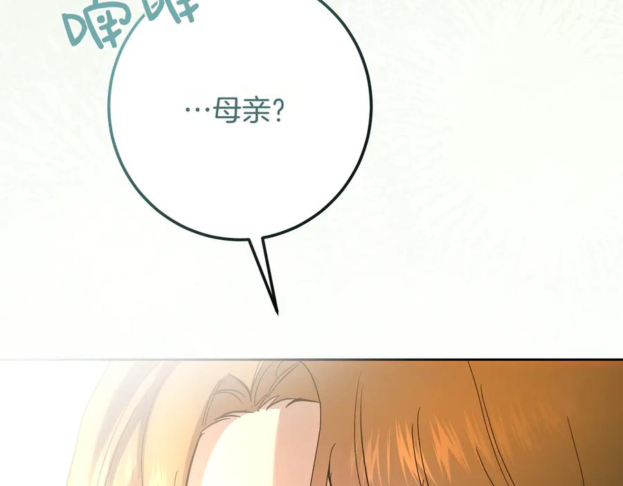 第239页