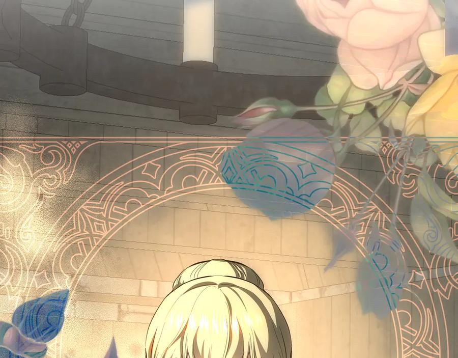 第244页