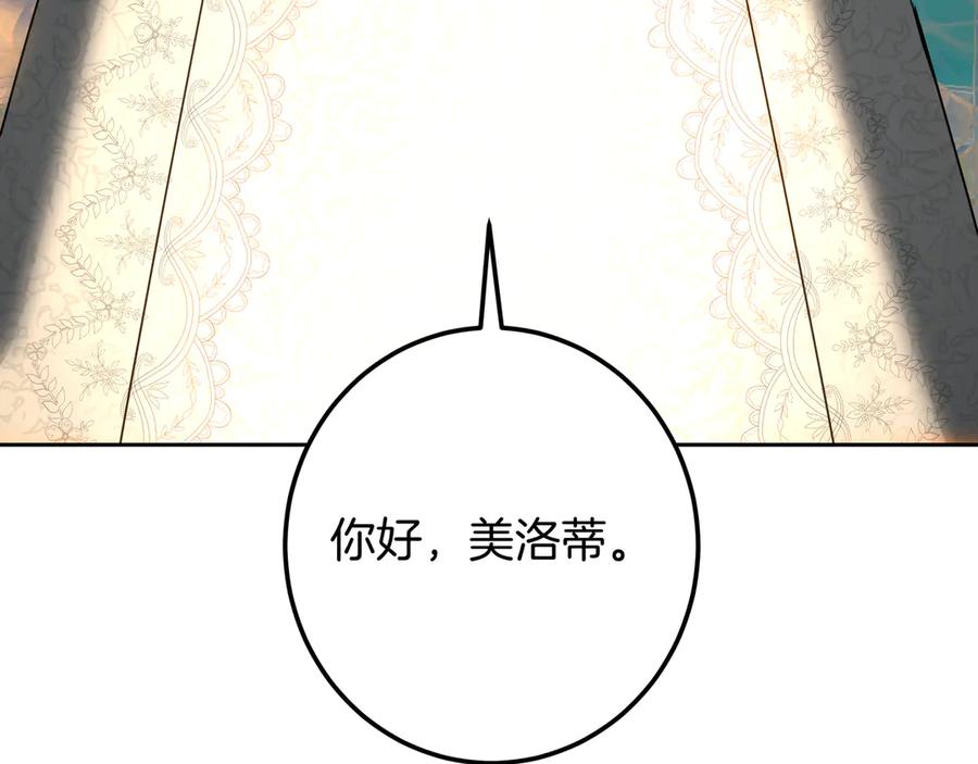 第247页