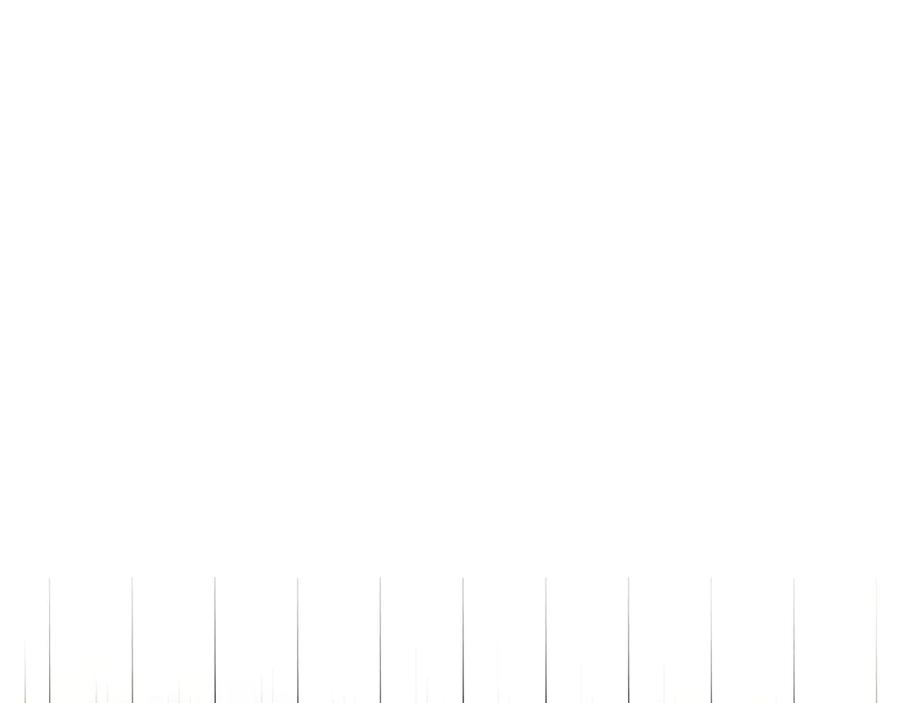 第223页