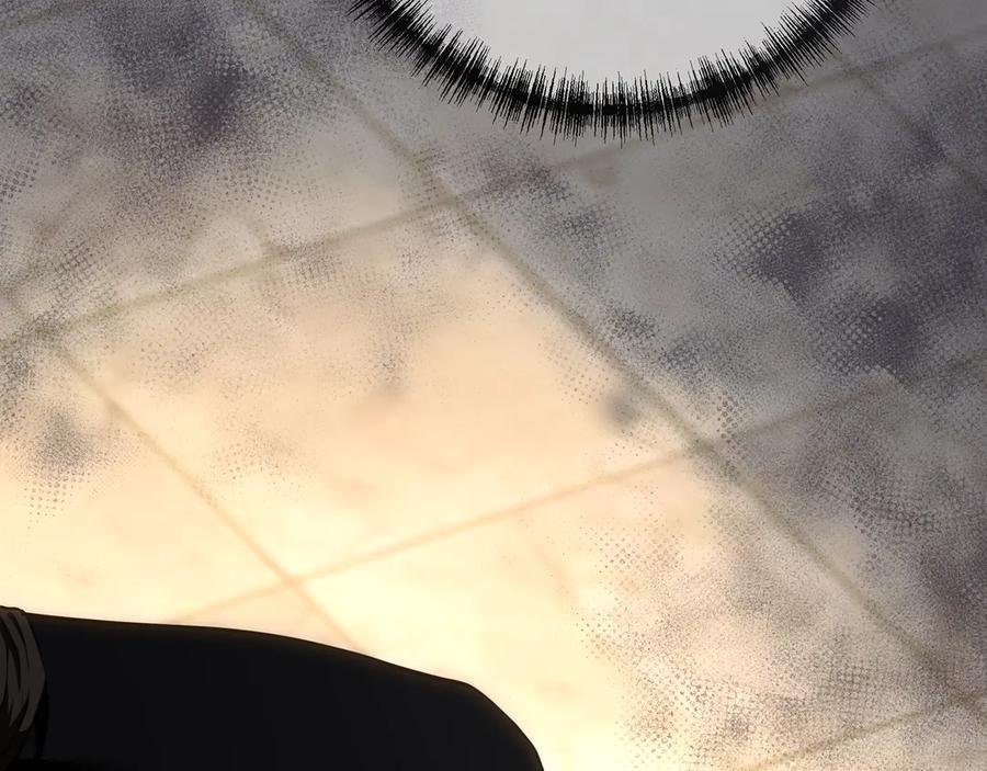 第260页