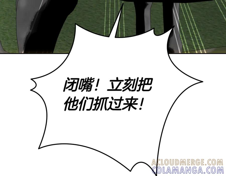 第217页