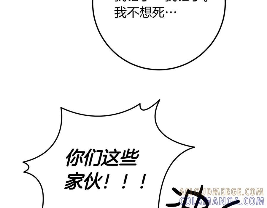 第337页