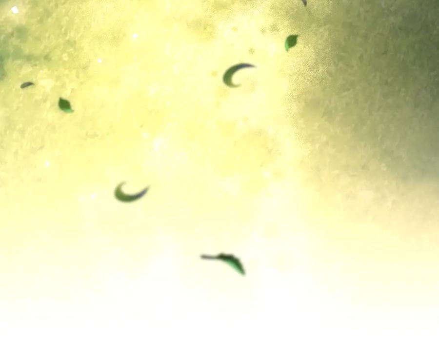 第194页