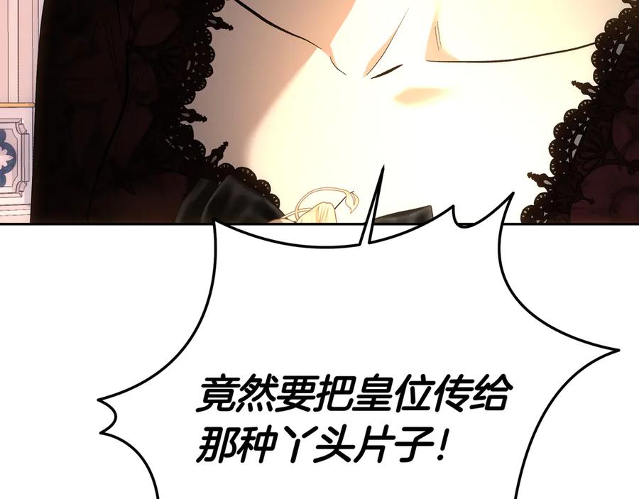 第223页
