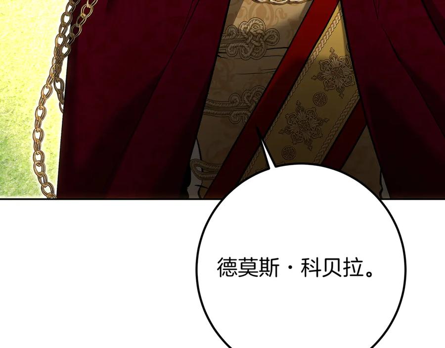 第223页