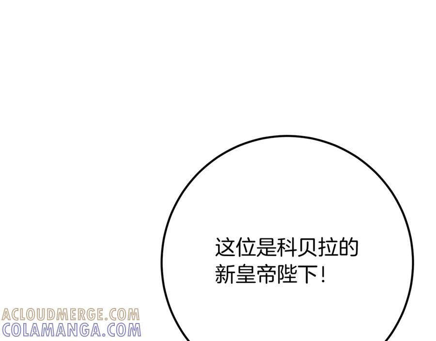 第229页