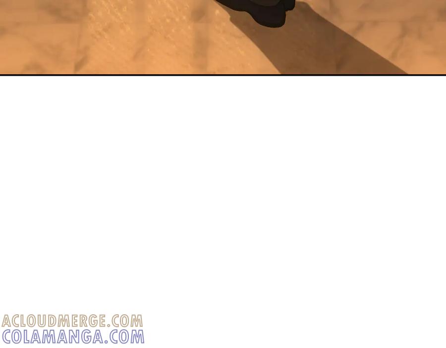 第217页