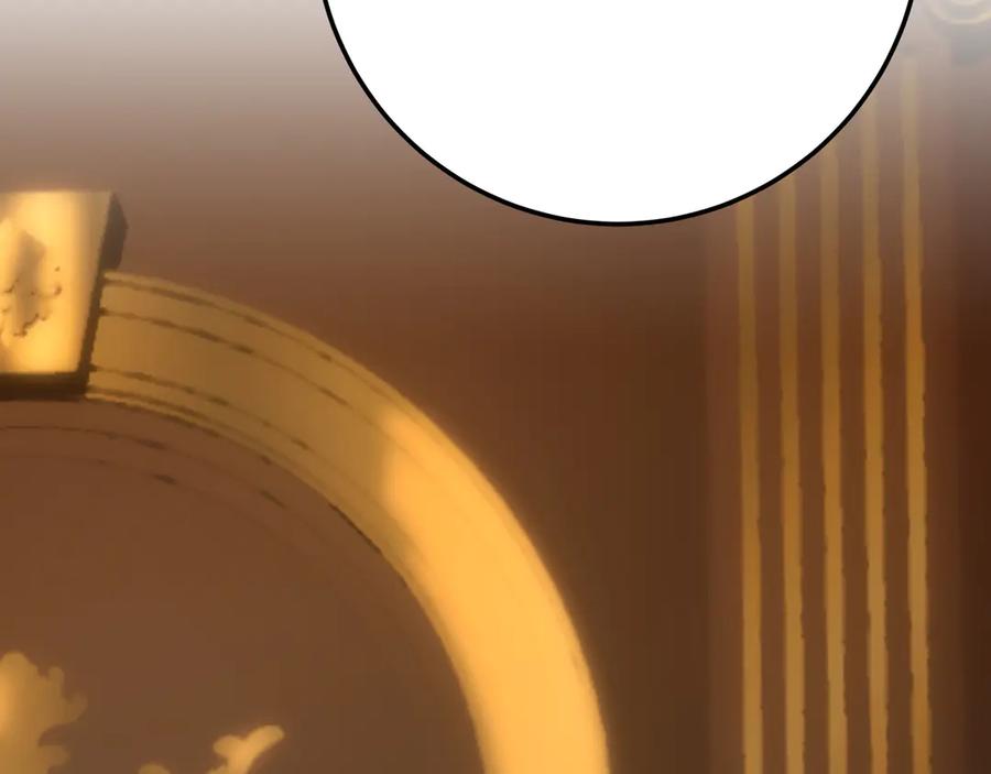 第243页