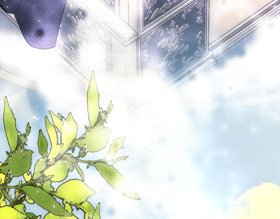 第247页