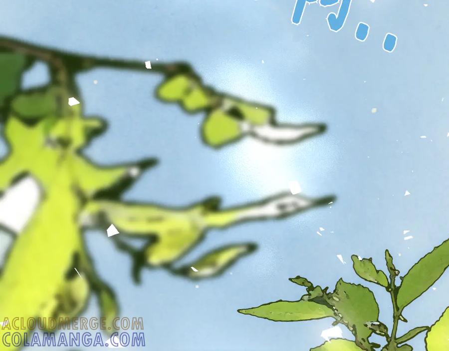 第249页