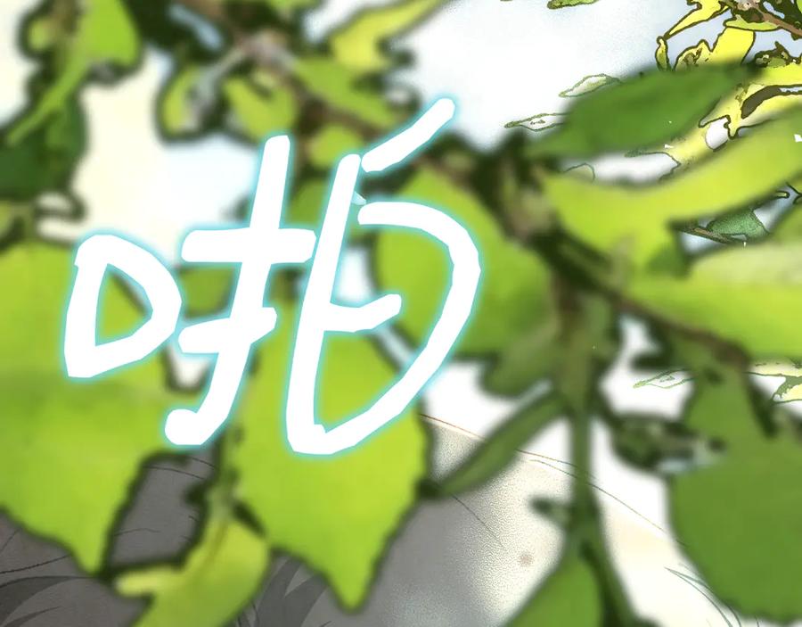 第251页