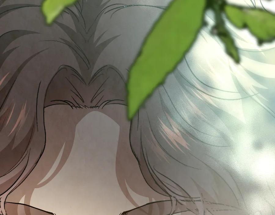 第252页