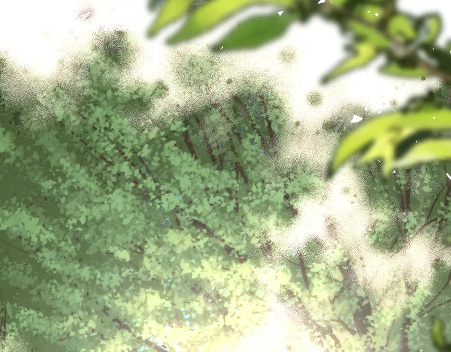 第255页