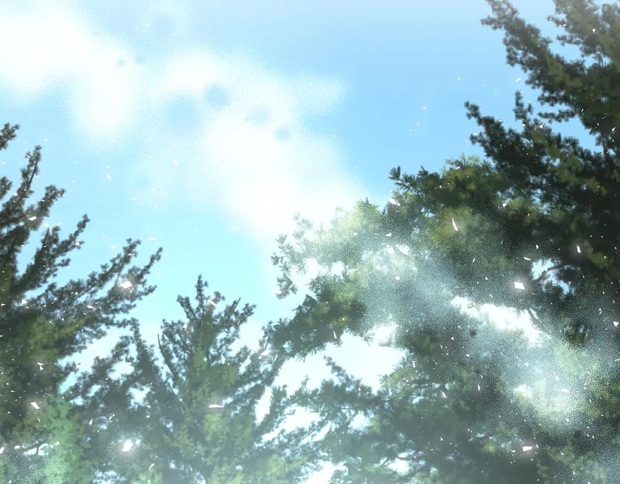 第262页