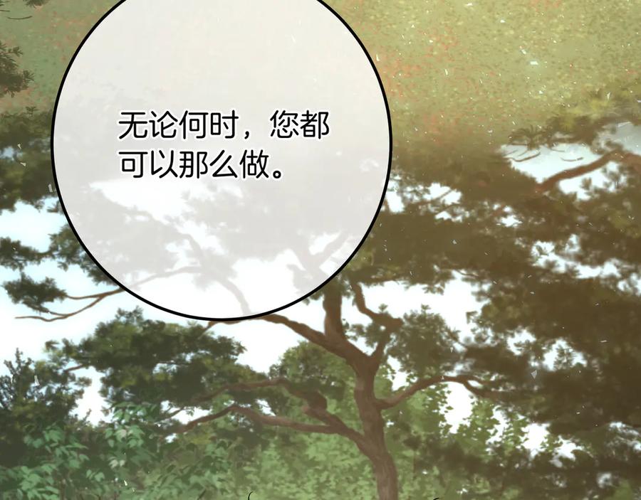 第246页