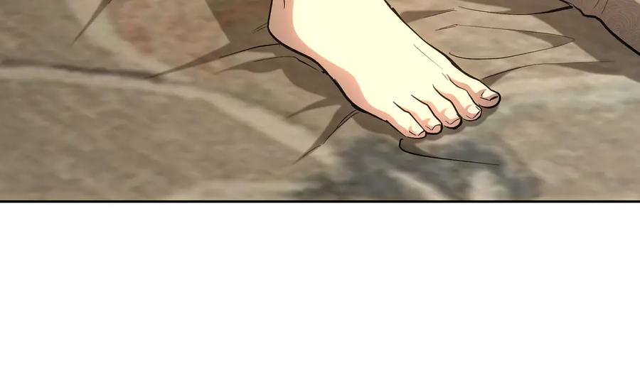 第256页