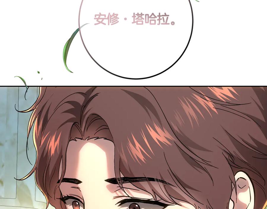 第223页
