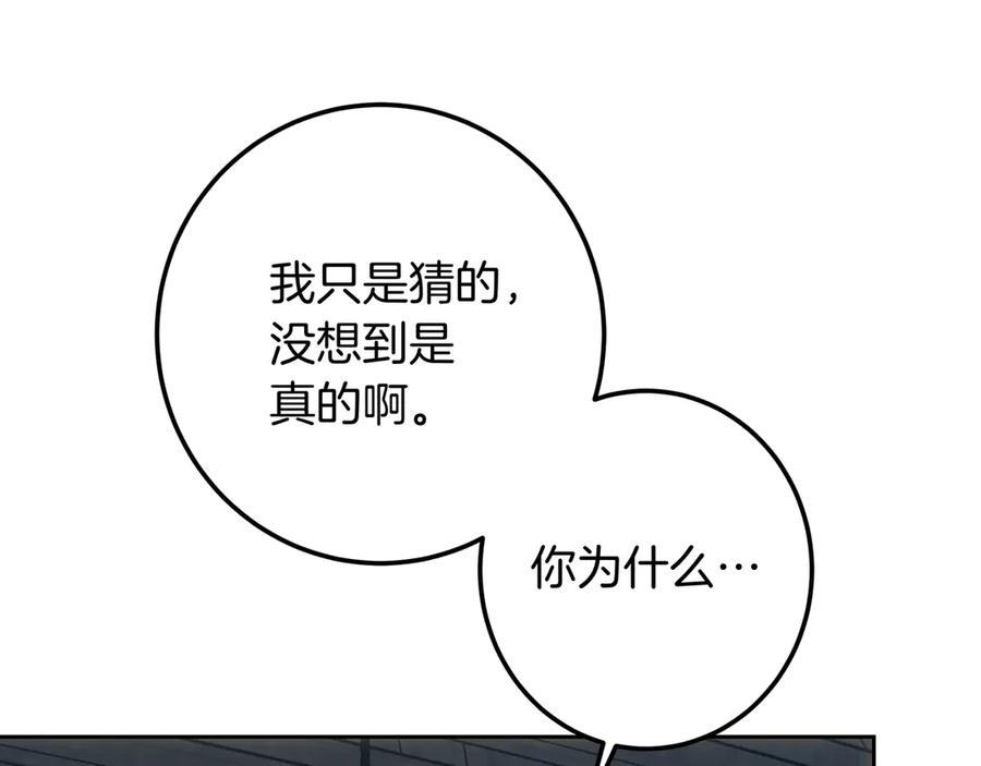 第223页