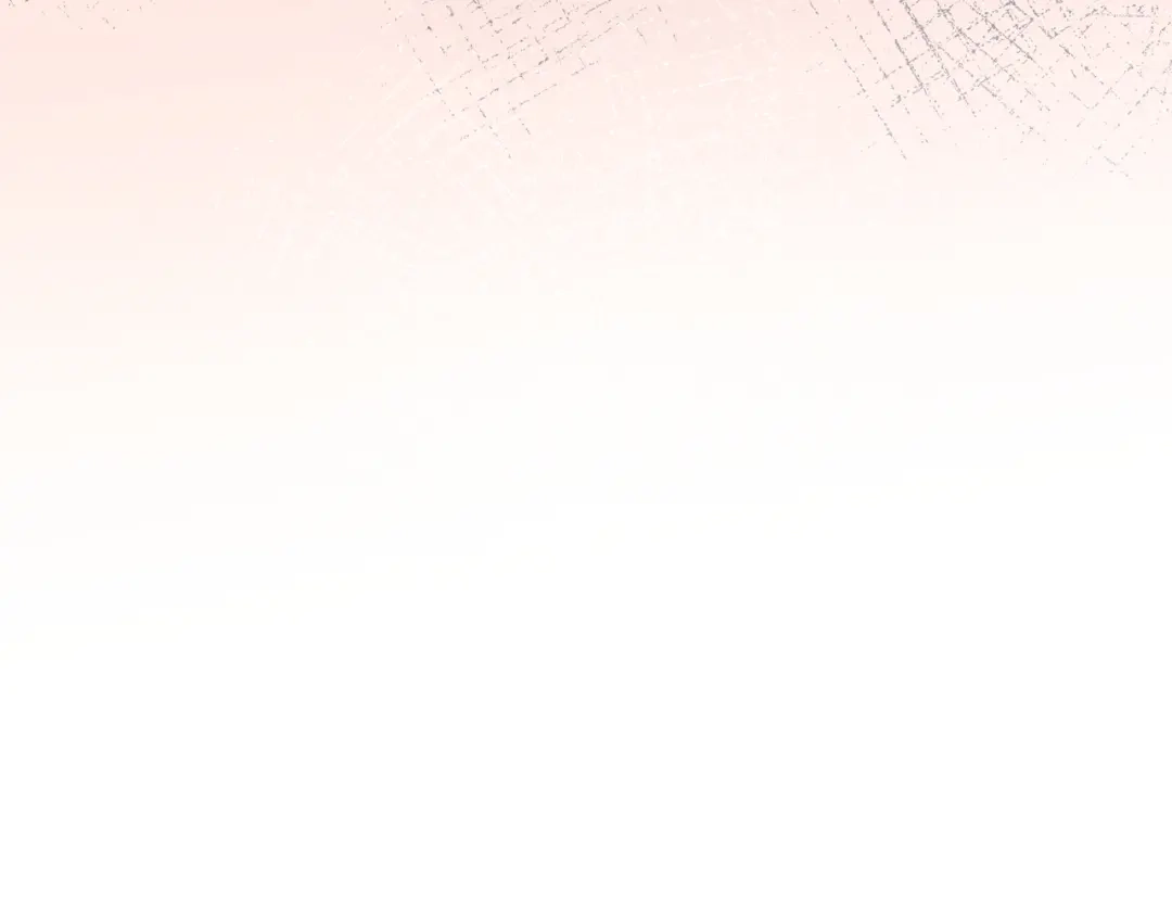 第221页