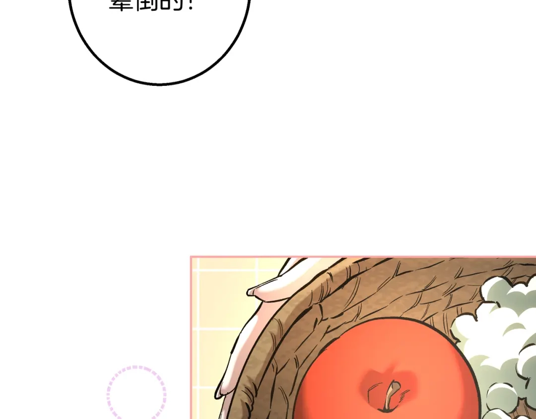 第205页