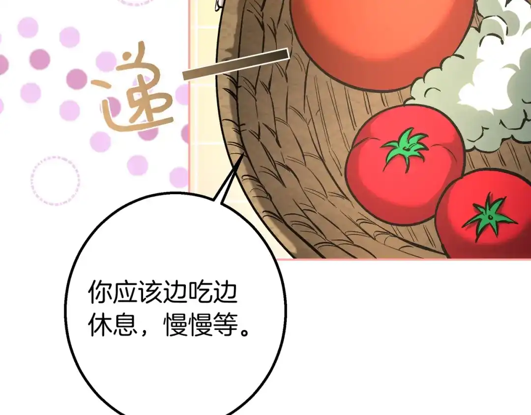 第206页
