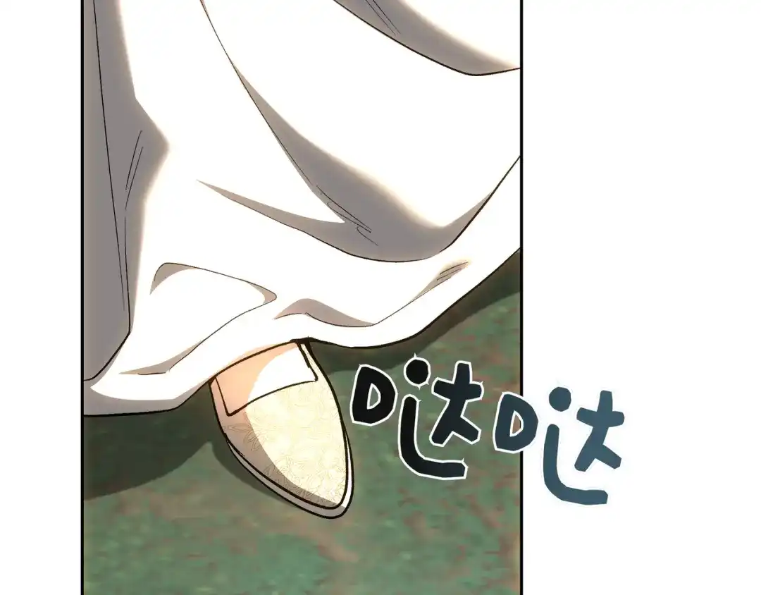 第223页