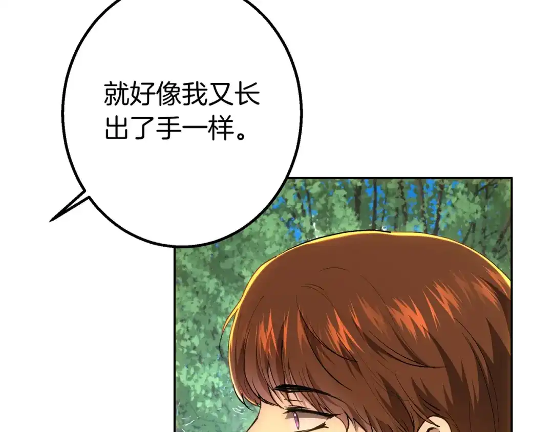 第241页