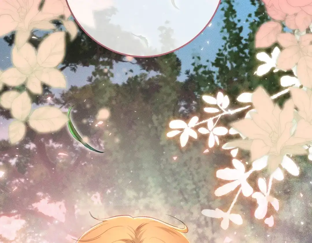 第258页