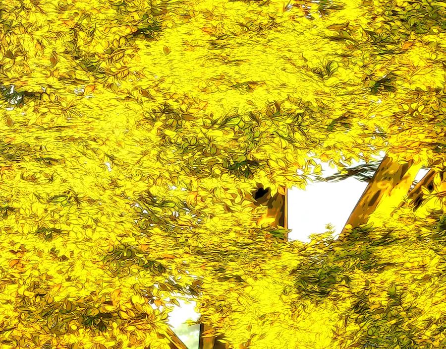 第146页