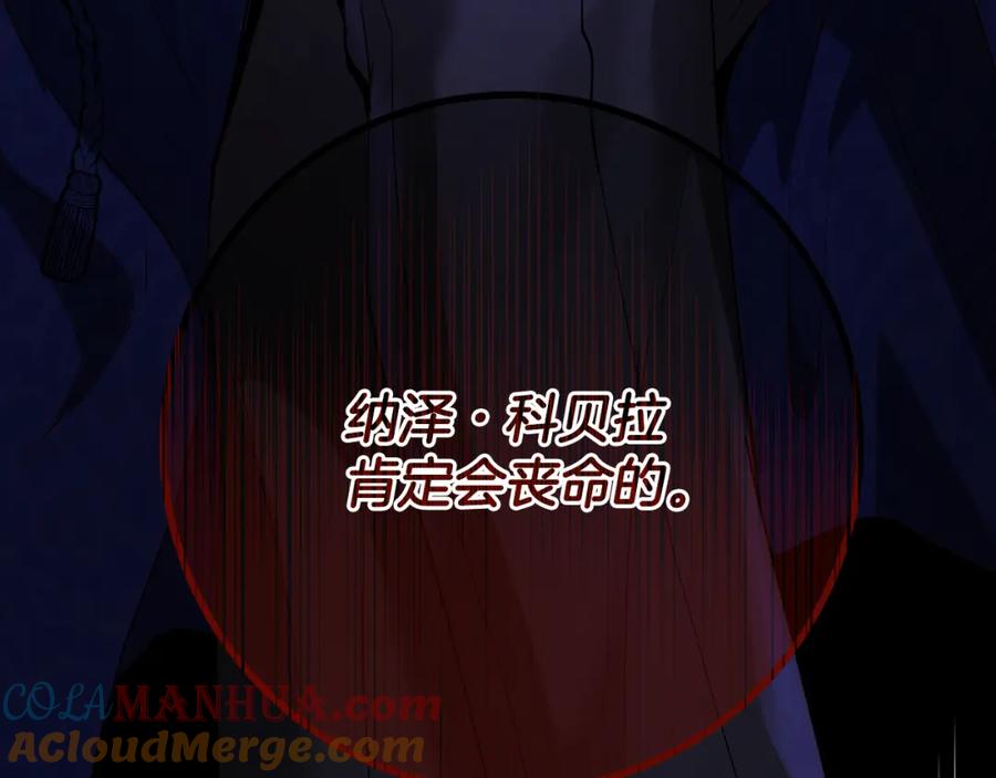 第213页
