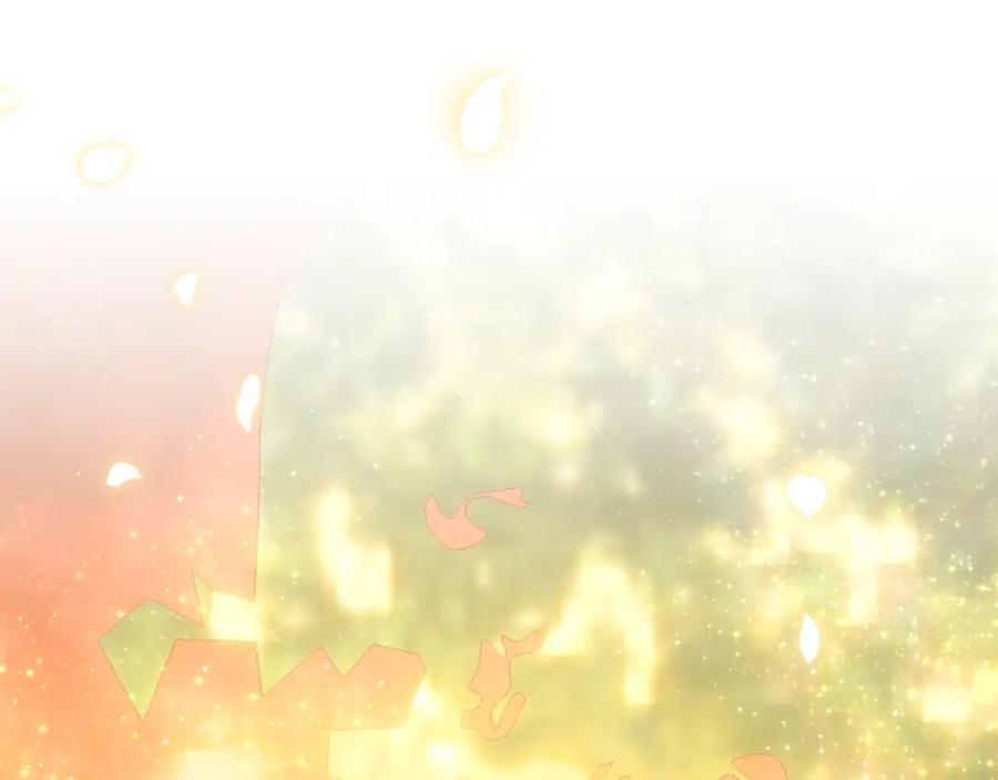 第224页