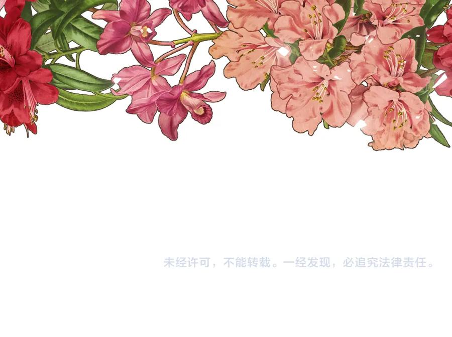 第235页