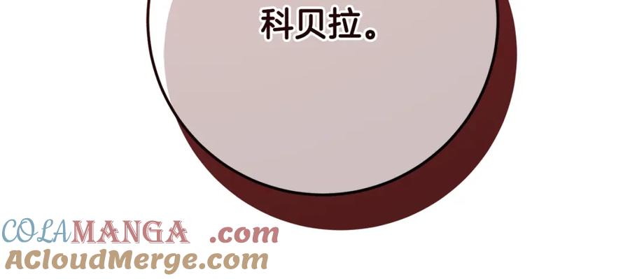 第221页