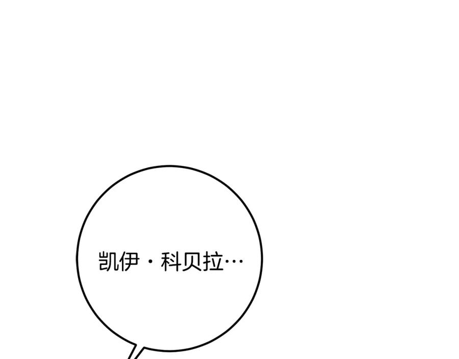 第246页